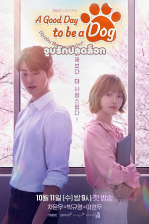 A Good Day To Be A Dog จูบรักปลดล็อก พากย์ไทย Ep.1-14 (จบ)